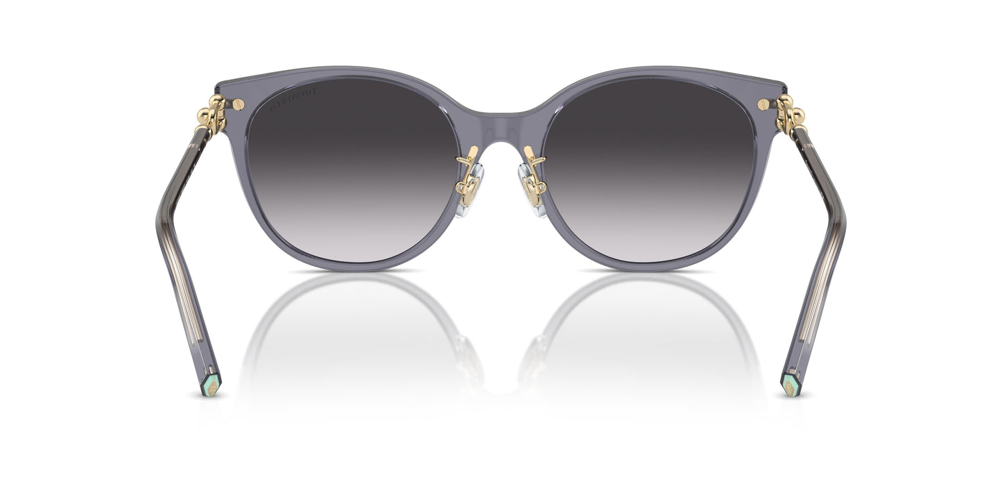 Tiffany TF4223D 84053C 54