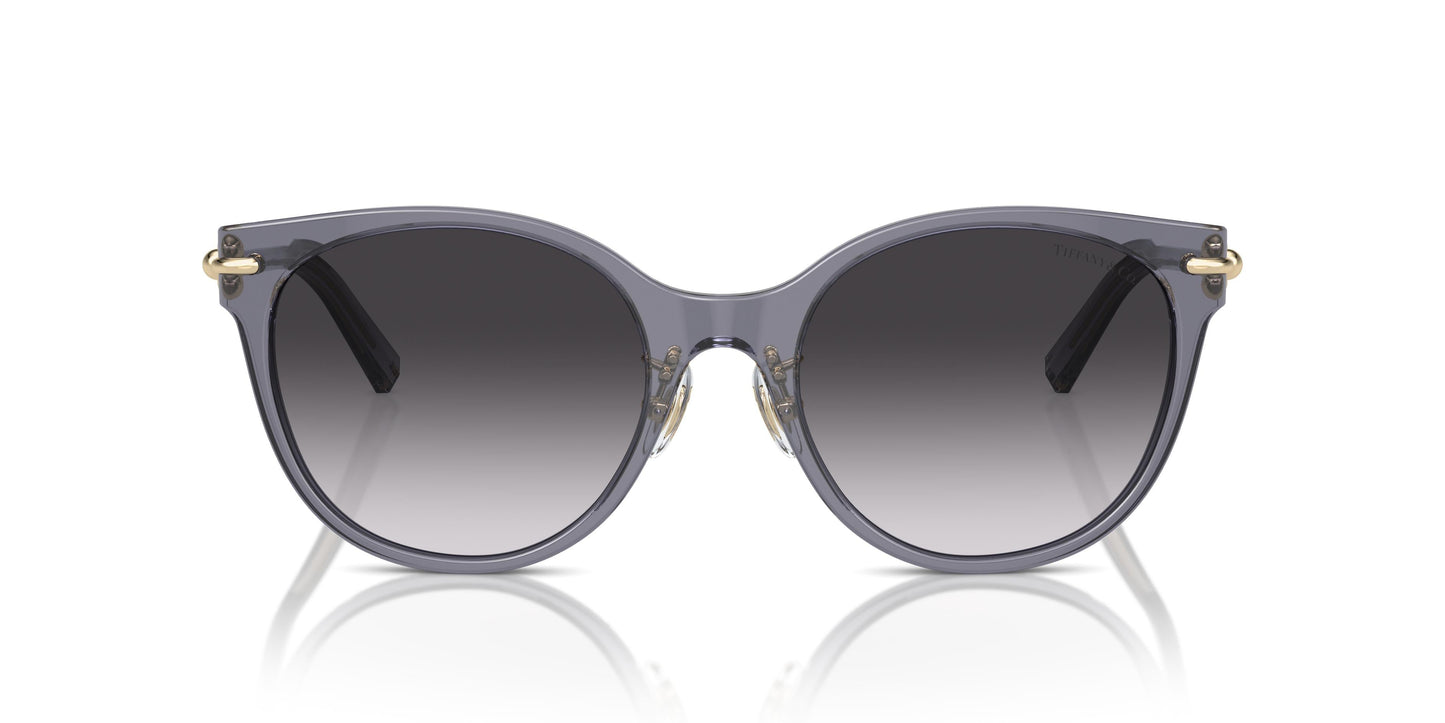 Tiffany TF4223D 84053C 54