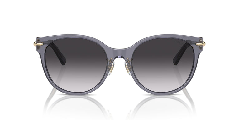 Tiffany TF4223D 84053C 54