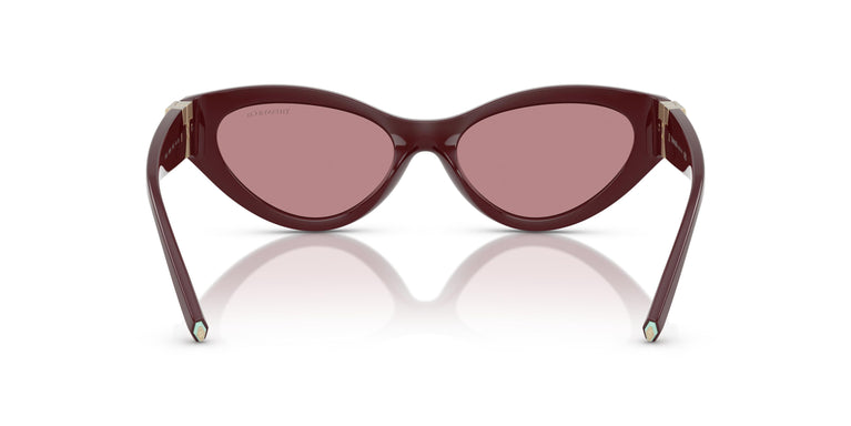 Tiffany TF4225U  838930 54
