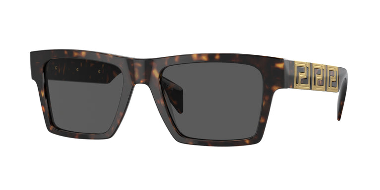 Versace VE4445 108/87 54