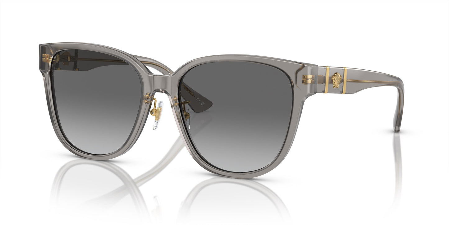 Versace VE4460D 540611 57