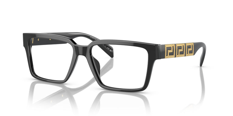 Versace VE3339U  GB1 55